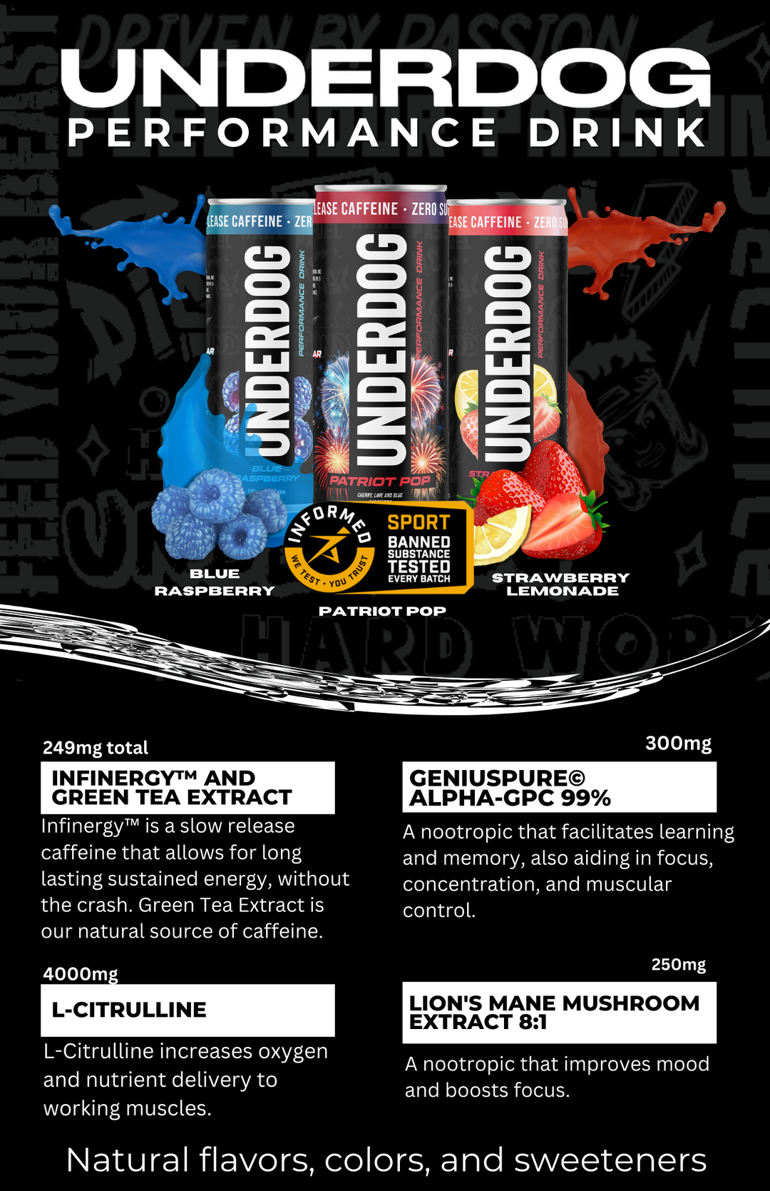 Underdog Mission Flyer