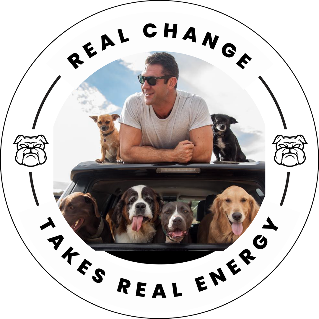 Underdog Impact Sticker Pack
